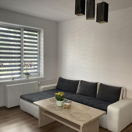 Apartament W Centrum Malborka Esterno foto