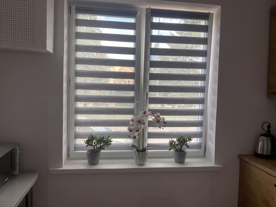 Apartament W Centrum Malborka Esterno foto